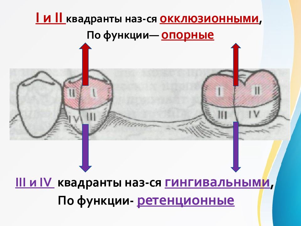 Презентация на тему параллелометрия