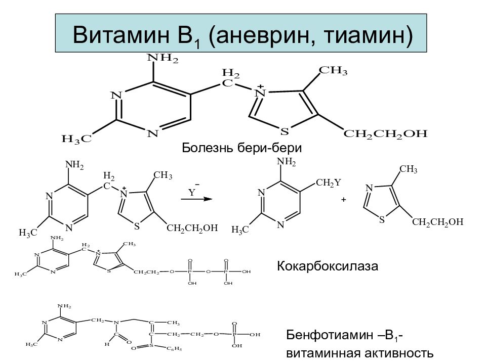 Птеридин. Биологически важные гетероциклические соединения. Тиамин механизм действия. Фуразолидон механизм действия. Кокарбоксилаза механизм действия.