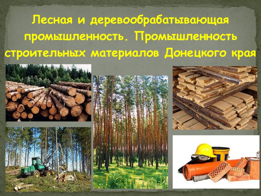 Отрасль деревообработки. Лесная, деревообрабатывающая и целлюлозно-бумажная промышленность. Лесная и деревообрабатывающая промышленность области. Лесная, деревообрабатывающая и лесохимическая промышленность. Отрасли Лесной и деревообрабатывающей промышленности.