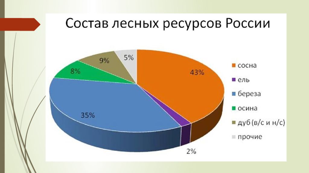 Ресурс состав. Состав лесных ресурсов России. Лесные ресурсы России диаграмма. Диаграмма лесов РФ. Запасы древесины в России.