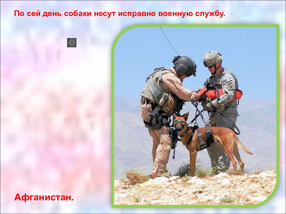 Как собаки служат человеку назови несколько. Как собаки служат человеку. как собаки служат человеку назови. как собаки служат человеку окружающий мир 2 класс.