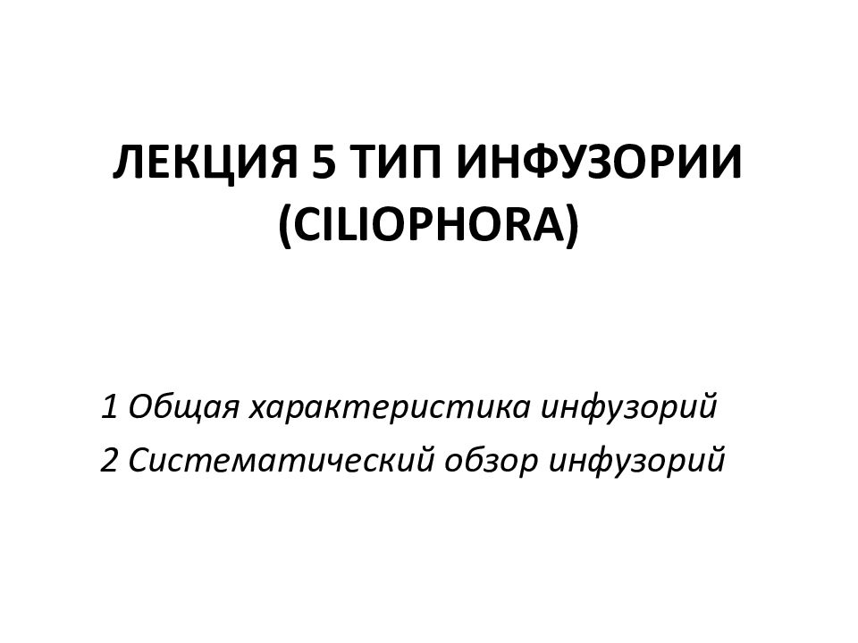 ЛЕКЦИЯ 5 ТИП ИНФУЗОРИИ (CILIOPHORA)