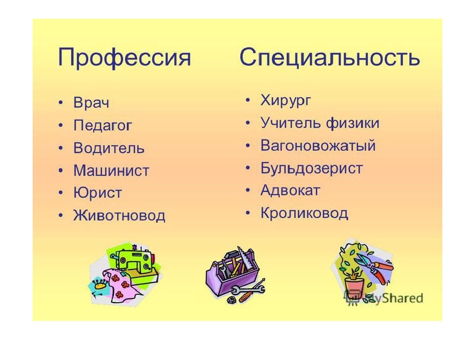 Должность специальность. Профессия и специальность. Профессия и специальность примеры. Специализация в профессии. Про про профессии.