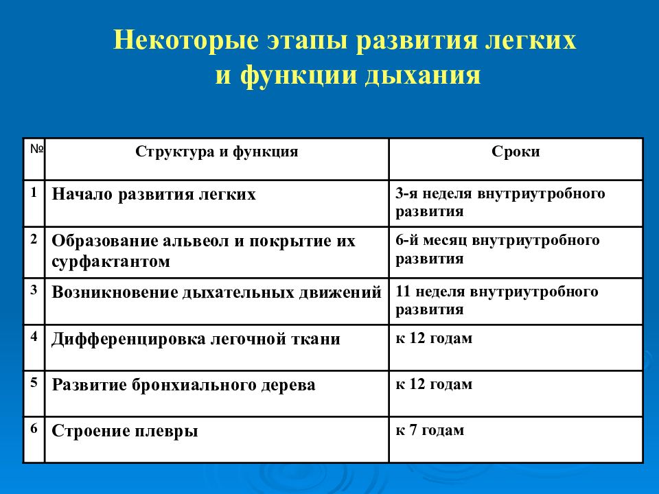 Возрастные особенности дыхательной системы презентация