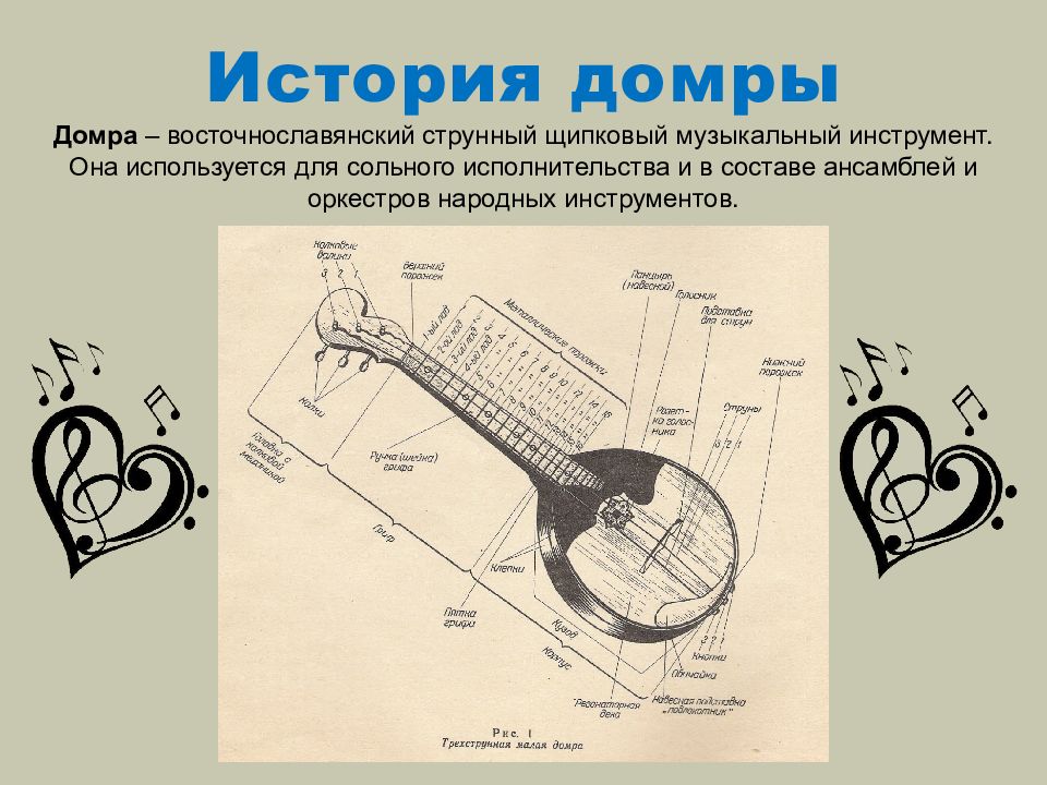 Биография домры. Домра рисунок. Части домры. История домры. Домра музыкальный инструмент рисунок.