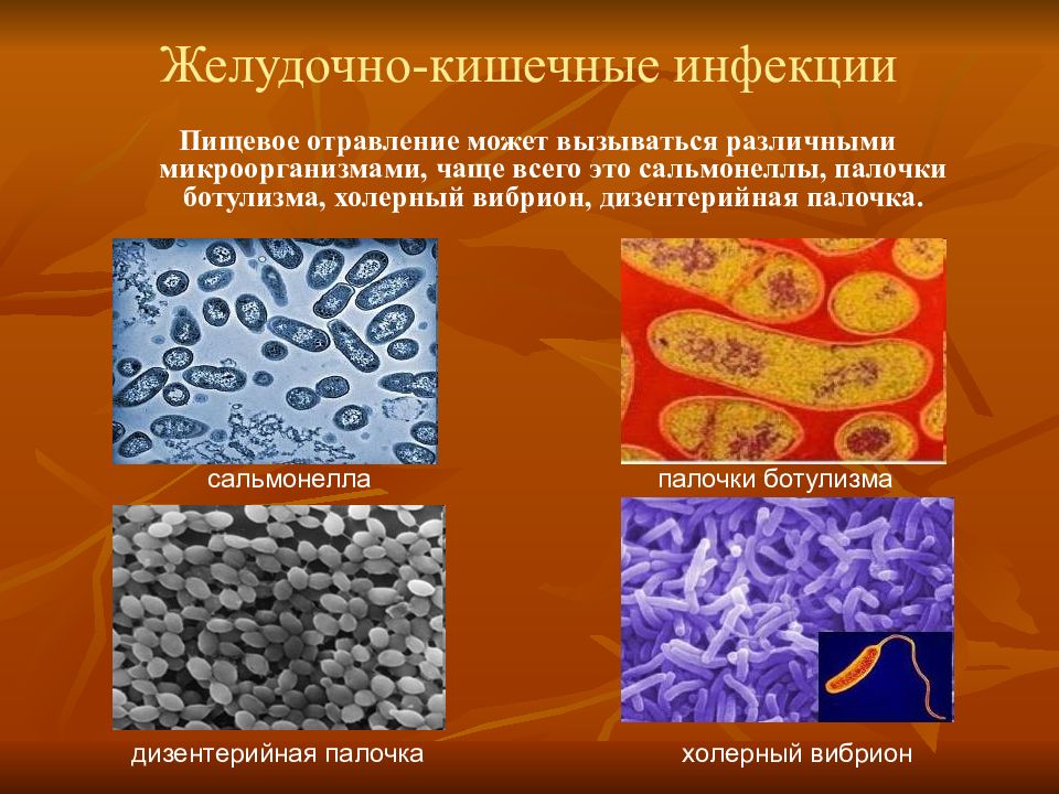 Презентация кишечные инфекции и их профилактика