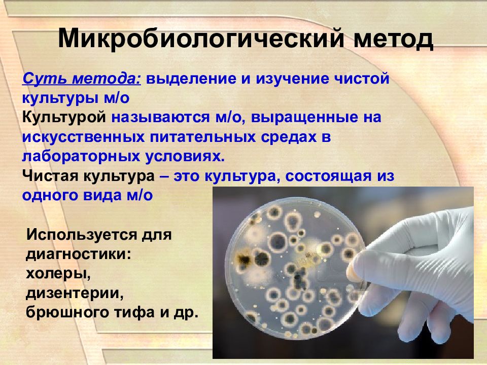 Микробиология исследования