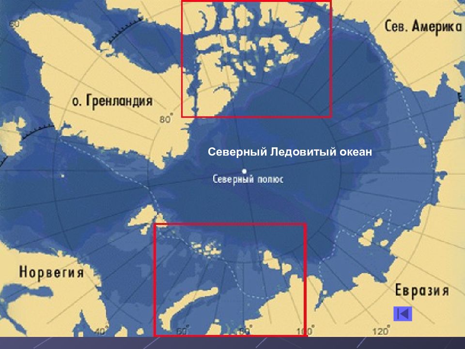С севера материк омывается океаном. Географическое расположение Северного Ледовитого океана. Северный Ледовитый океан географическое положение океана. Северный Ледовитый океан на карте. Расположение Северного Ледовитого океана.