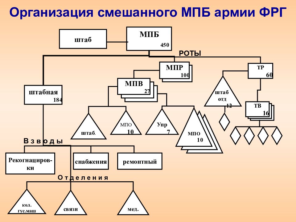 6 3 организация. Организация мотопехотного батальона ФРГ. Организация и вооружение МПБ армии Германии. Организация и вооружение МПВ армии ФРГ. Организация МПБ армии ФРГ.