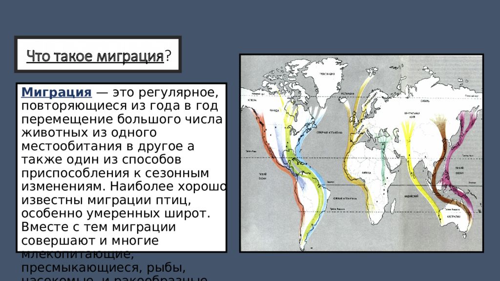 Что такое миграция