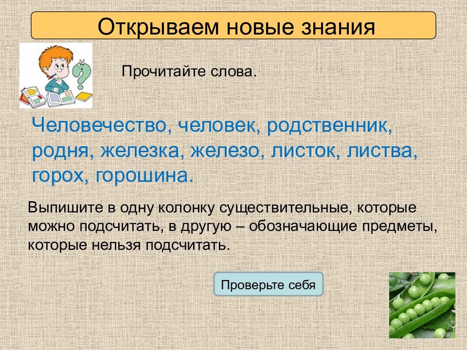 Родня число единственное. Горох форма только единственного числа. Слово грабли в единственном числе. Существительные которые могут иметь только единственную форму слова. Предложение со словом желёзка.