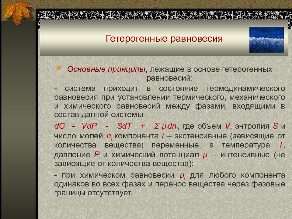 Равновесие процессы. Гетерогенное химическое равновесие. Условия существования гетерогенных равновесий. Основные принципы гетерогенных фазовых равновесий. Смещение гетерогенного равновесия.