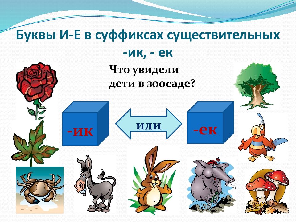 Буквы И-Е в суффиксах существительных -ик, - ек