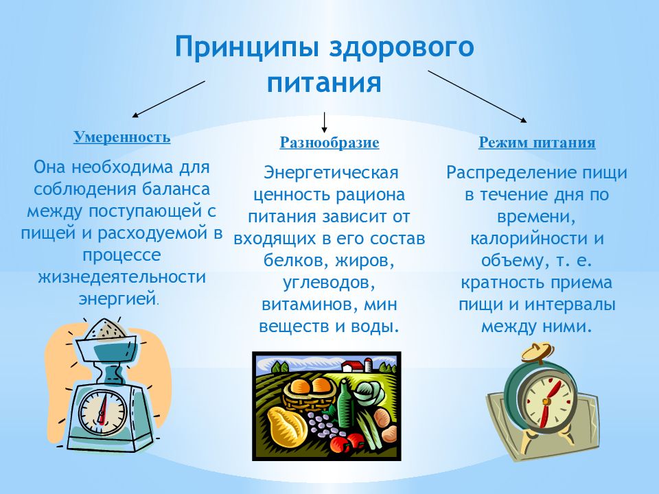 Принципы здорового питания. Здоровое питание залог здоровья. Здоровое питание залог крепкого здоровья. Презентация на тему здоровое питание. Презентация здоровая пища залог здоровья.