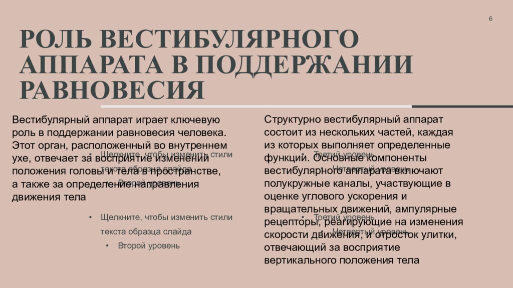 Роль вестибулярного аппарата в поддержании равновесия