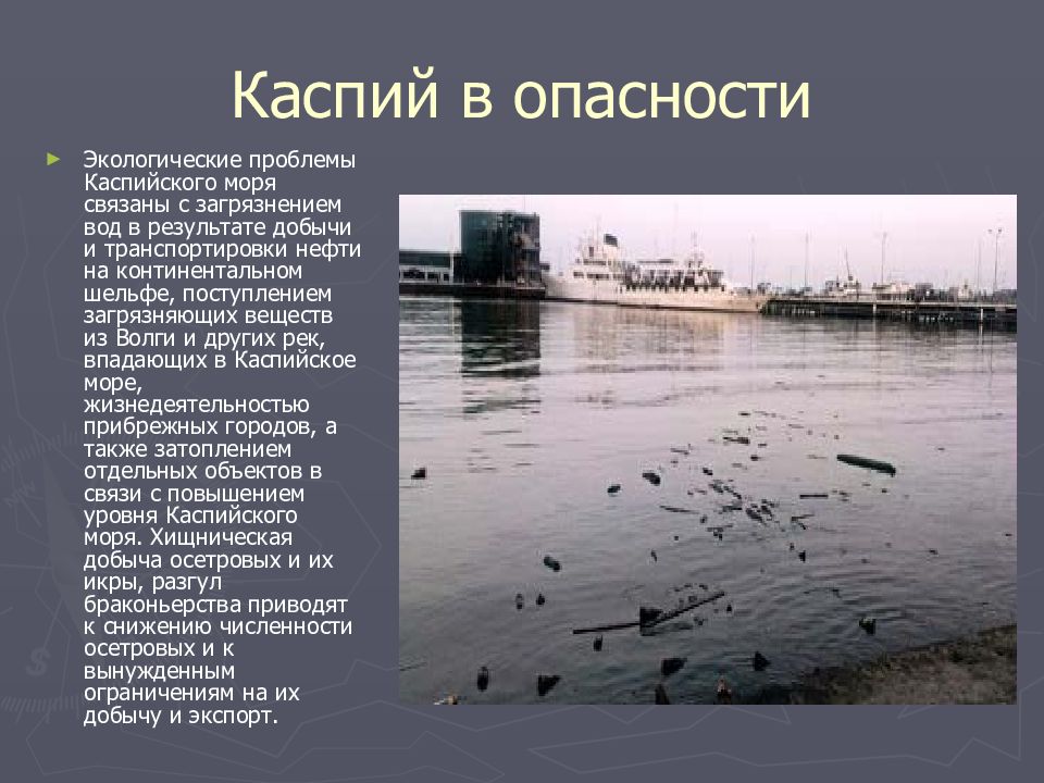 Какие экологические проблемы связаны с водой. Каспийское море экопроблемы. Причины загрязнения Каспийского моря. Степень загрязненности Каспийского моря. Экологические проблемы Каспийского моря.