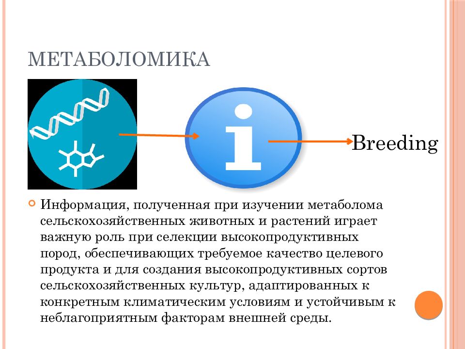 Метаболомика