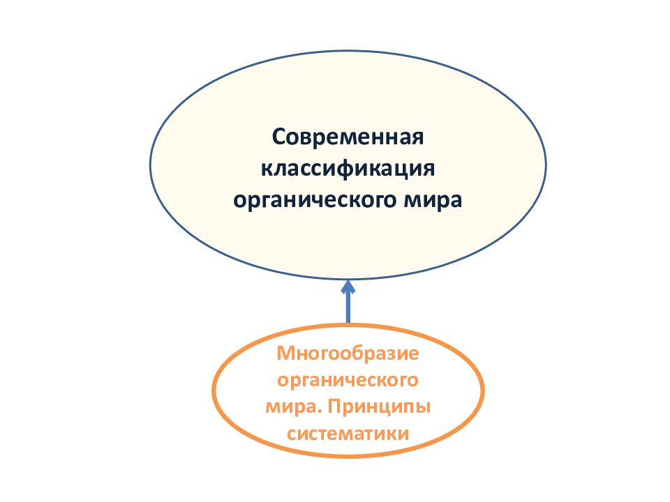 Современная классификация