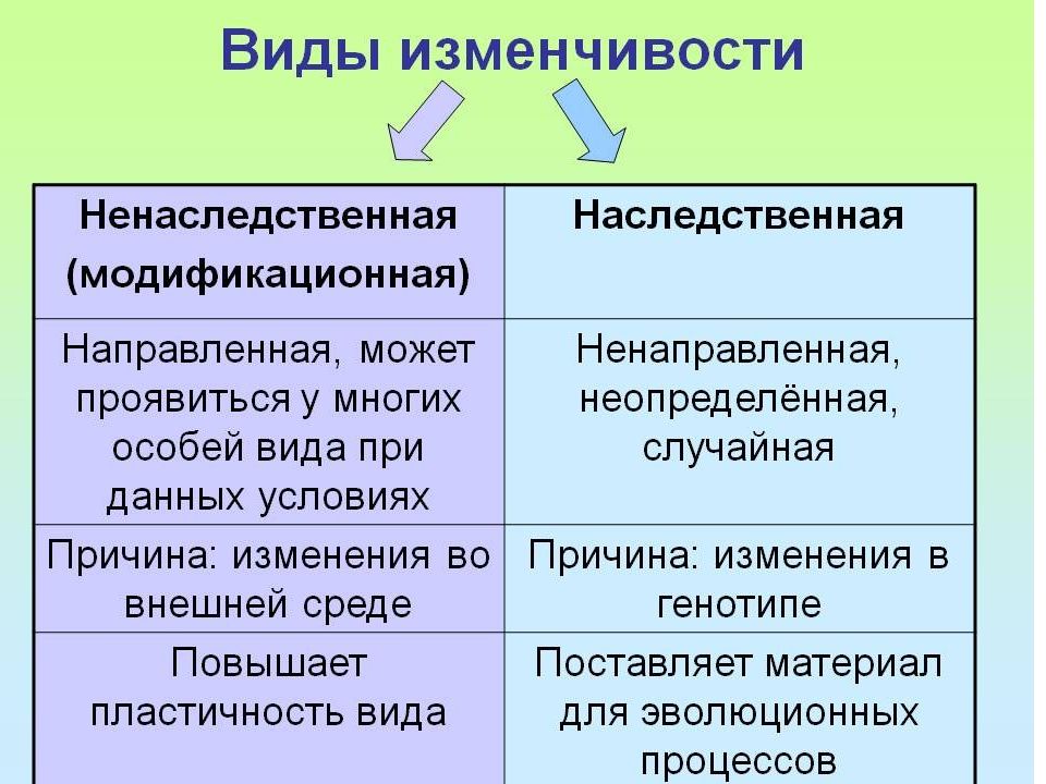 Заполнить схему изменчивость