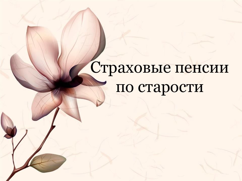 Страховые пенсии по старости