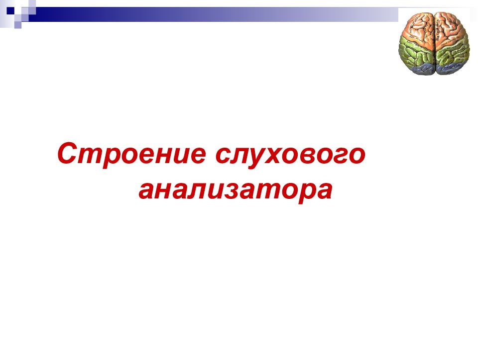 Презентация гностические слуховые расстройства