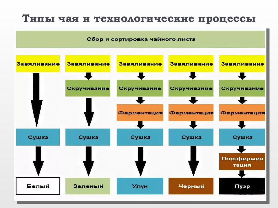 Чаять вид. Типы чая. Типы чая и процессы. Техпроцесс чая. Виды чая где произрастают технологич.