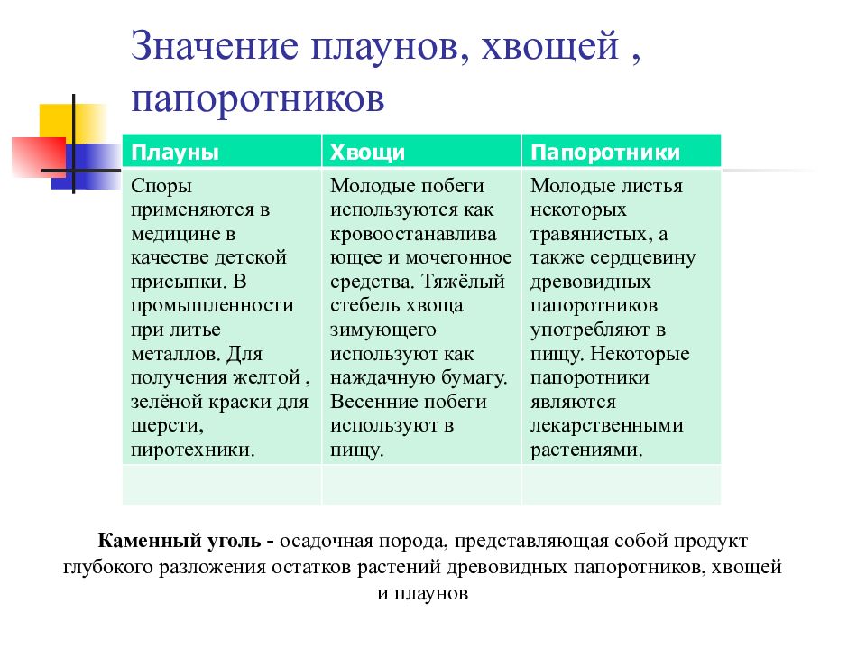 Плауны хвощи папоротники их общая характеристика презентация