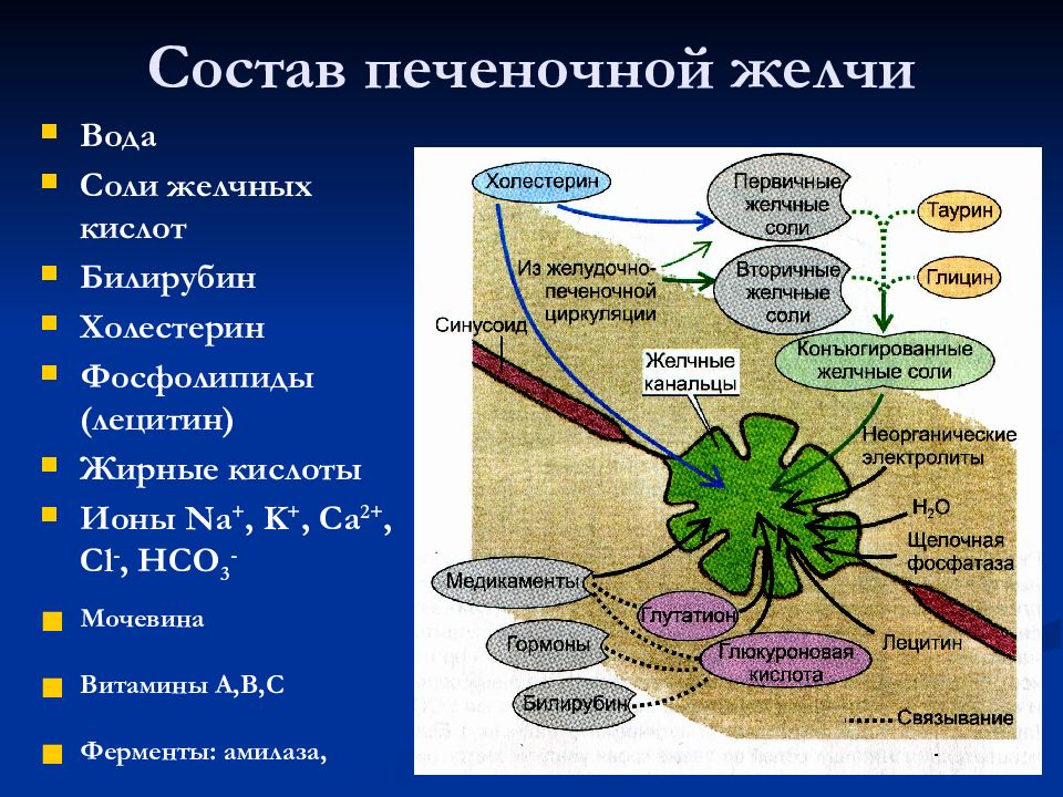 Желчные соли. Очищенные соли желчи. Соли желчных кислот. Печень желчные соли.