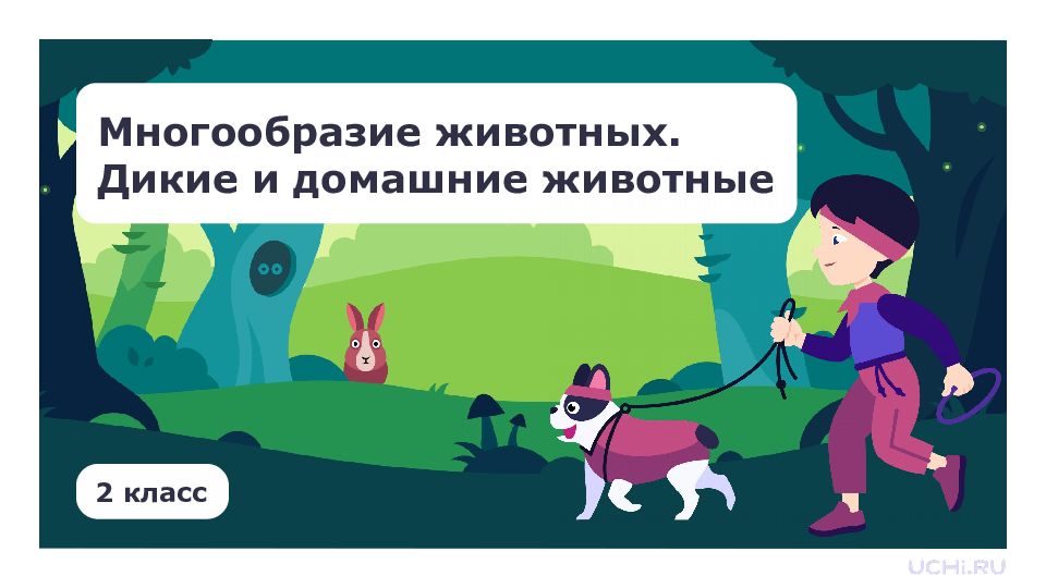 Многообразие животных. Дикие и домашние животные 2 класс