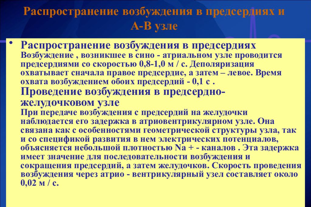 Последовательность возбуждения. Распространение возбуждения. Распространение возбуждения по желудочкам. Проведение возбуждения по предсердиям. Проведение возбуждения от предсердий к желудочкам осуществляется по.