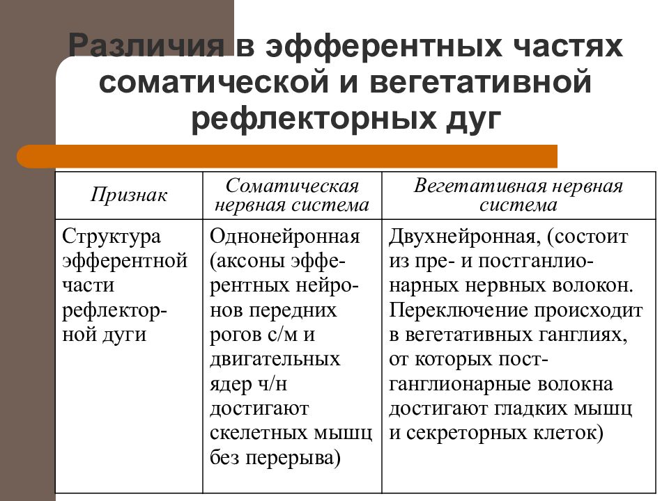 Чем отличается вегетативная. Вегетативная и соматическая рефлекторная дуга различия. Отличия соматической и вегетативной рефлекторных дуг. Соматическая и вегетативная рефлекторная дуга отличия. Отличие рефлекторной дуги вегетативного и соматического рефлексов.