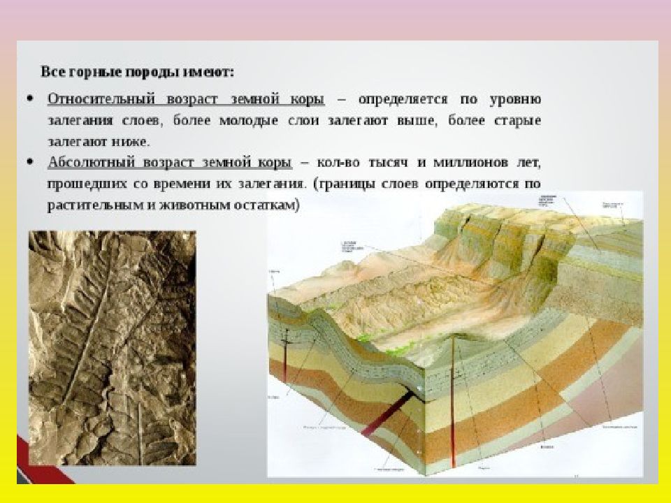 История развития земной коры география 8 класс