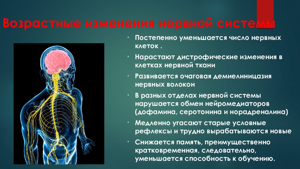 Возрастные изменения нервной системы у пожилых людей презентация