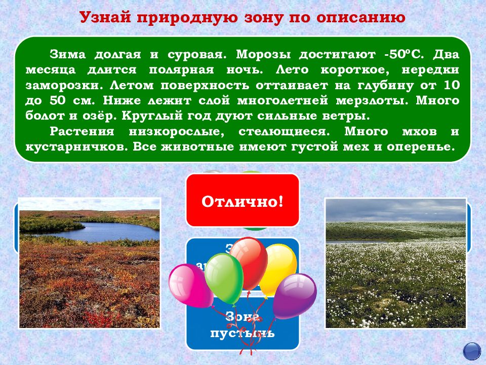 Вопросы о природных зонах. Узнай природную зону по описанию. Природные зоны по описанию. Определи природную зону по описанию. Узнай природную зону описание.