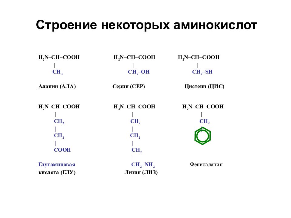 Строение некоторые