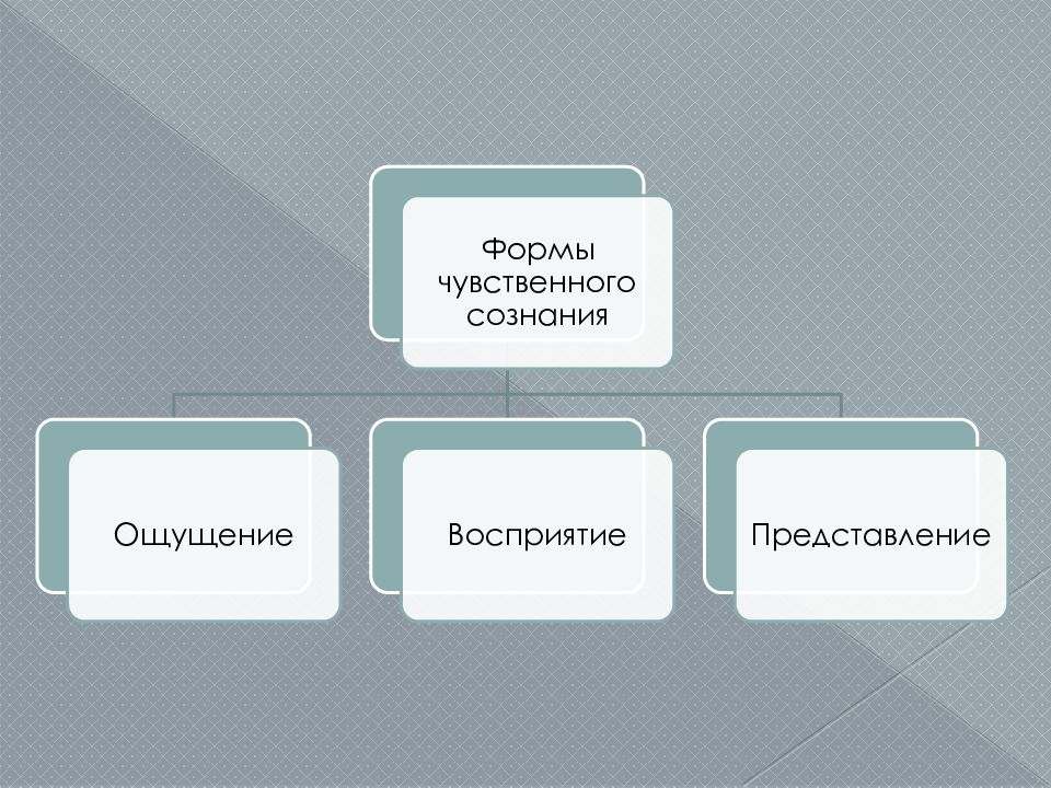 Чувственное сознание. Формы чувственного сознания. Виды сознания чувственное. Чувственная форма сознания в философии. Примеры чувственного сознания.