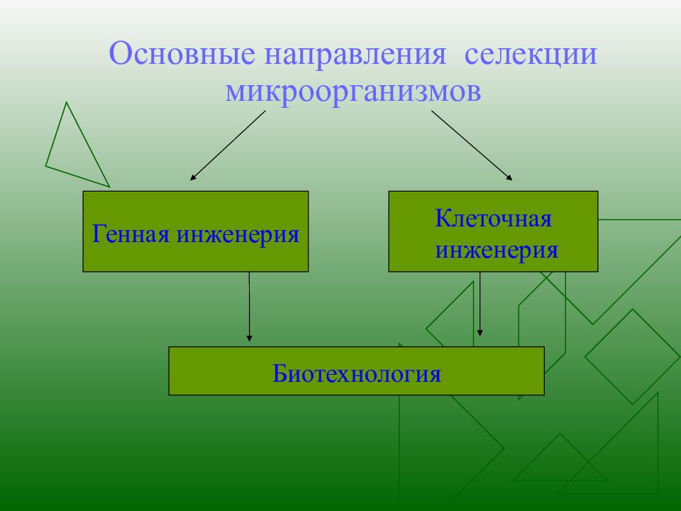 Методы селекции микроорганизмов презентация