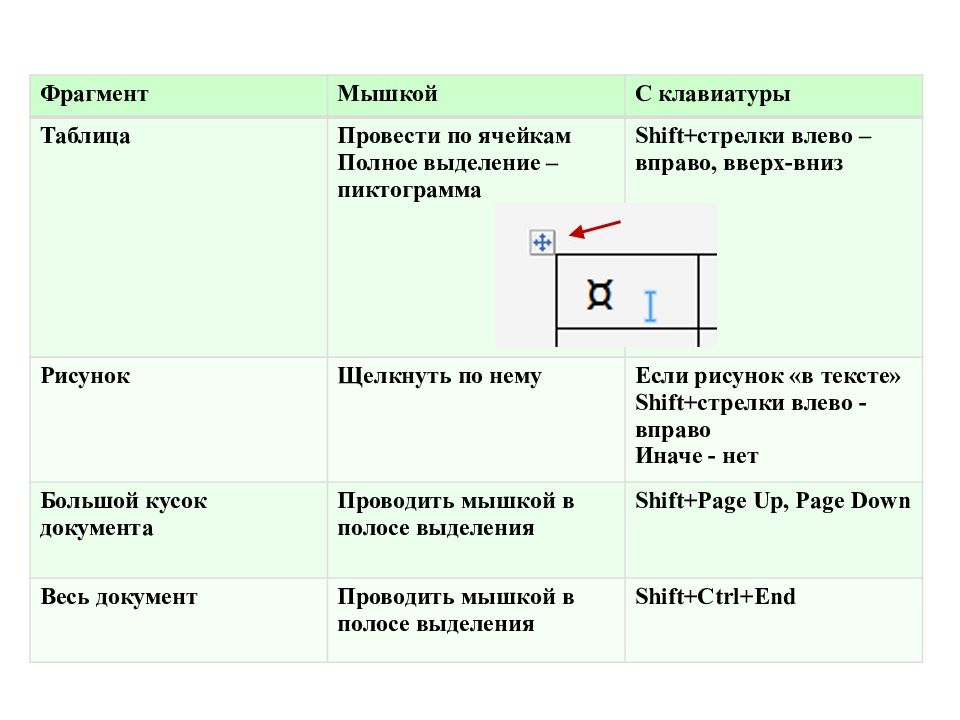 В таблице проведены. Выделение полной таблицы.