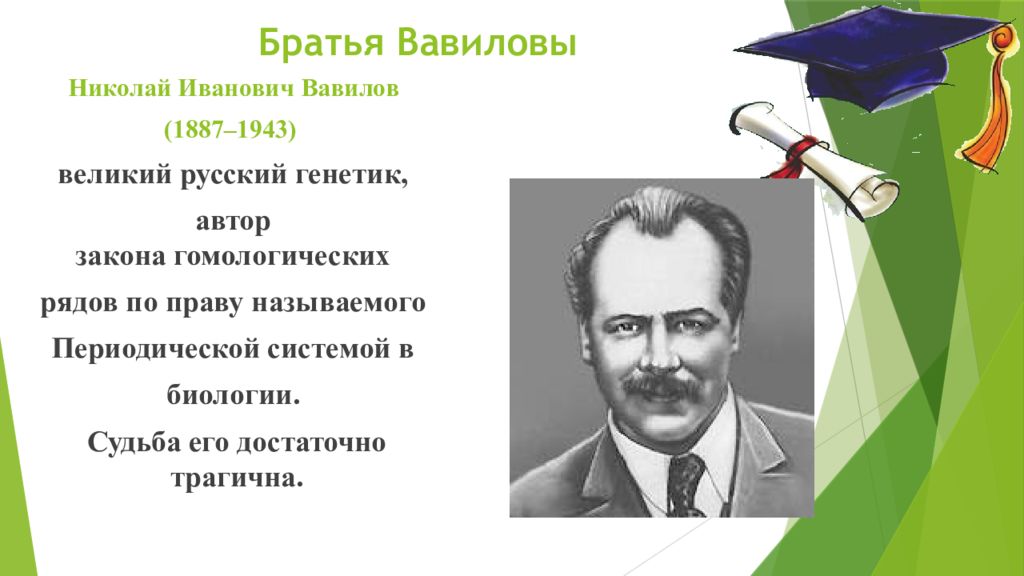 Автор закона. Братья Вавиловы. Братья Вавиловы достижения ученого. Николай Иванович Вавилов достижения. Братья Вавиловы отрасль науки.