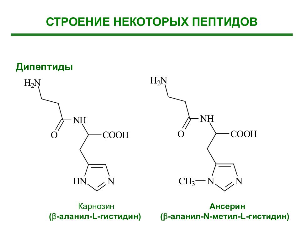 Строение некоторые. Карнозин и ансерин. Ансерин и карнозин биохимия. Карнозин и ансерин функции. Карнозина (-аланил-гистидин).