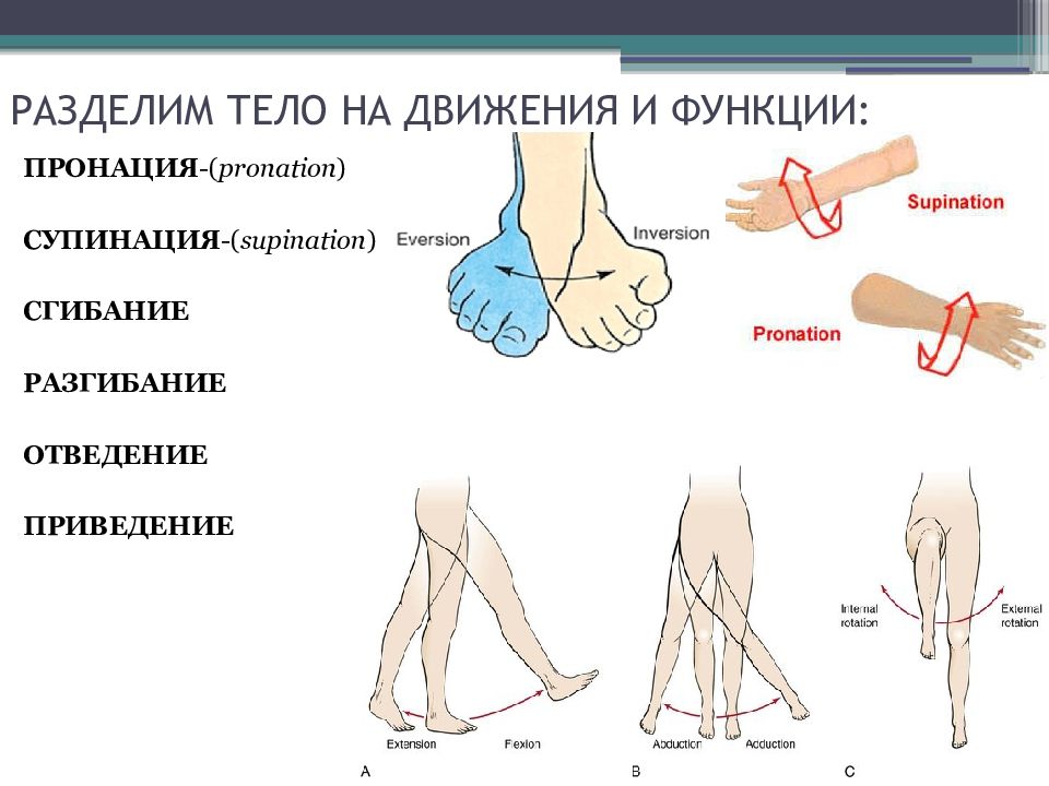 Движения стопы пронация супинация. Супинация тазобедренного сустава. Отведение приведение сгибание разгибание супинация пронация.