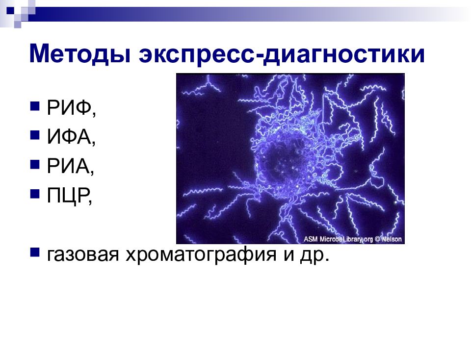 Схема микробиологической диагностики микозов