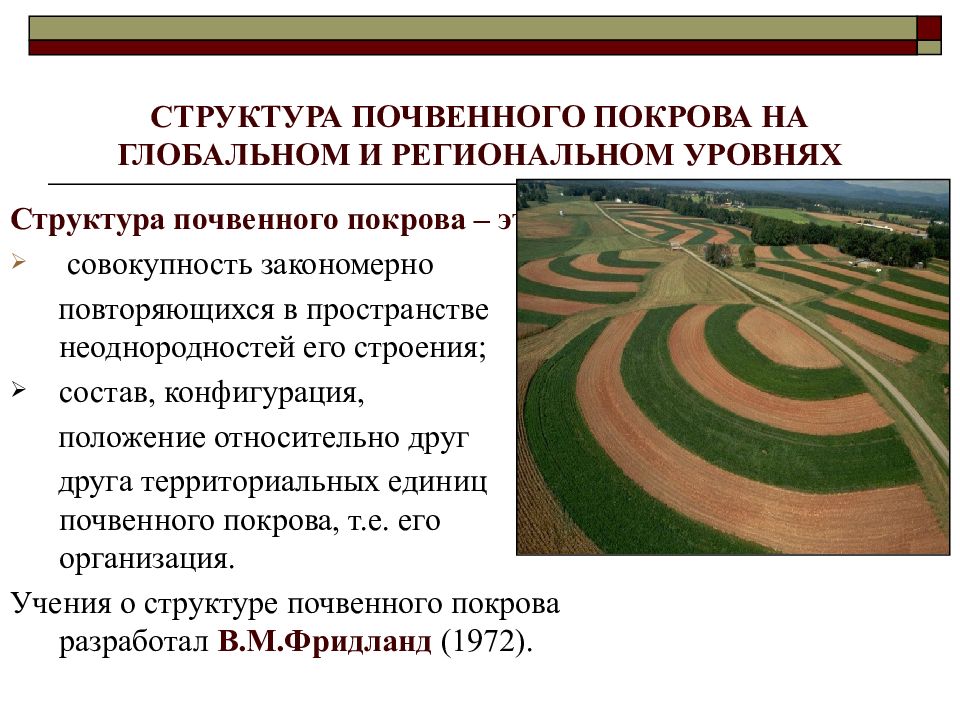 Почва покров. Структура почвенного Покрова. Закономерности географии почвенного Покрова.. Понятие о структуре почвенного Покрова. Структура почвенногоьпокрова.