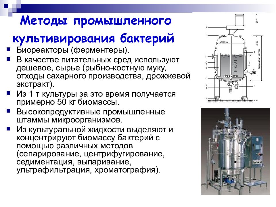 Культивирования микроорганизмов презентация