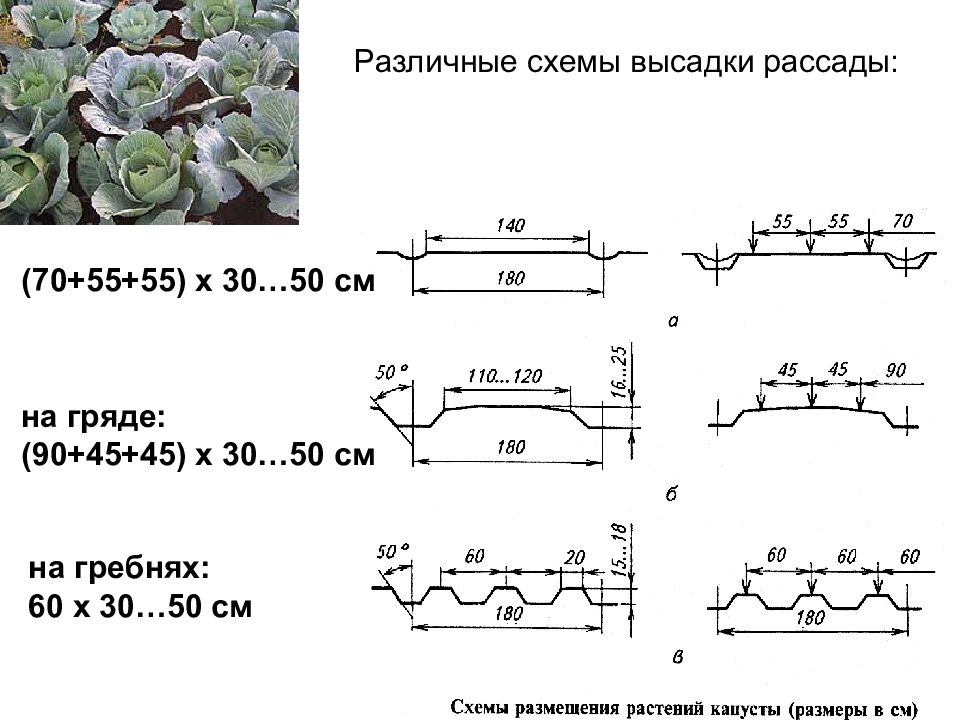 Кд поросенок схема танца