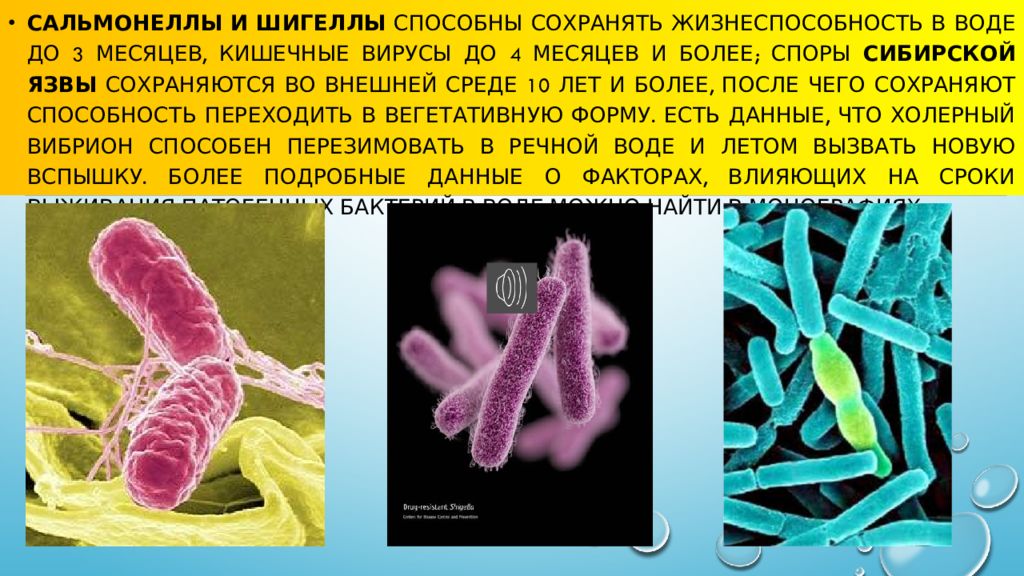 Роль воды в распространении возбудителей инфекционных заболеваний презентация