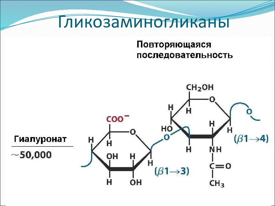 Хондроитин 6 сульфат формула. Хондроитин 6 сульфат биохимия. Хондроитин сульфат биохимия строение. Хондроитин 4 6 сульфат формула.