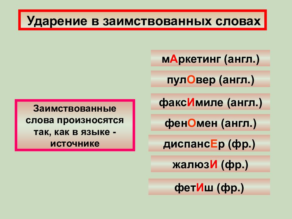 Маркетинговый план ударение