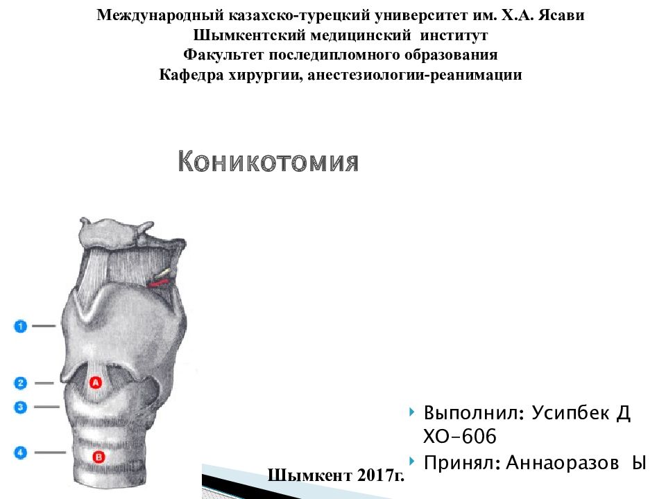 Коникотомия
