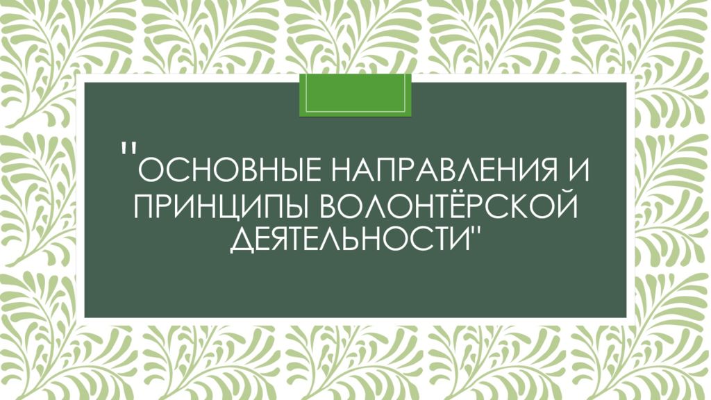 " Основные направления и принципы волонтёрской деятельности"